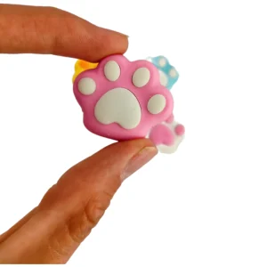 پاکن جایزه ای طرح پنجه